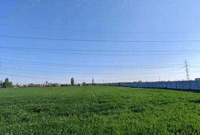 Teren de 5000 mp, în Cățelu - 5