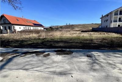 Teren de 3000 mp, în Sânmartin - 5