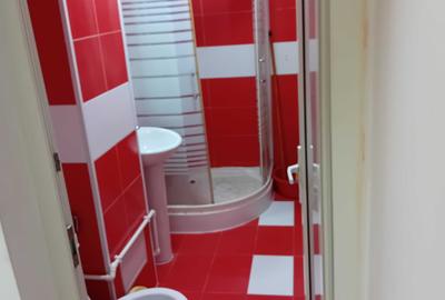 Apartament cu 2 camere semidecomandat în Tineretului