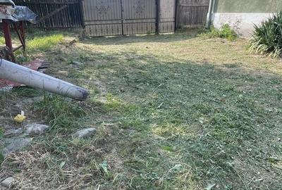 Casă cu 3 camere în Tărlungeni