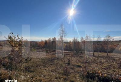 Teren de 1041 mp, în Feleacu
