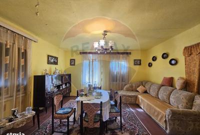 Casă cu 5 camere cu Teren 4484 Mp în Balinț - 2