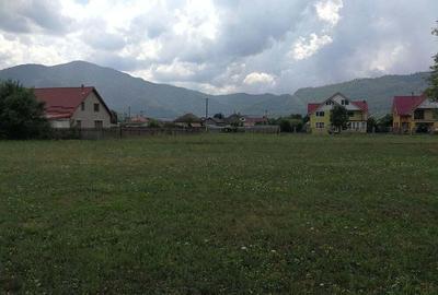 Teren în Stejaru (Pângărați) - 4