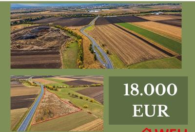 Teren extravilan de 11300 mp, în Bodoc
