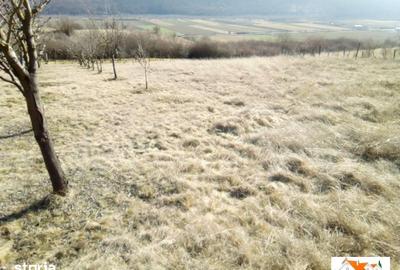 Teren de 1000 mp, în Ighiu - 2