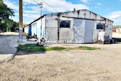 Spațiu industrial, de 1,000 mp, în Nazna - 6