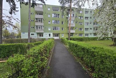 Apartament cu 2 camere semidecomandat, mobilat în Gemenii - 11