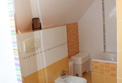 Apartament cu 3 camere, mobilat în Bălcescu - 16