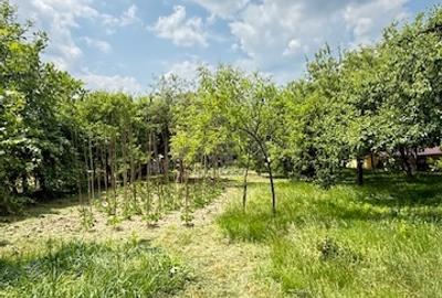 Casă cu 3 camere cu Canalizare în Est - 8