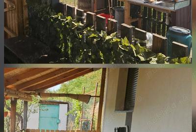 Casă cu 3 camere cu Teren 4600 Mp în Măstăcani - 3