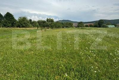 Teren de 3900 mp, în Unirea - 1