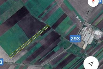 Teren de 16600 mp, în Havârna - 1