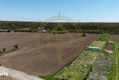 Teren de 9247 mp, în Snagov - 3