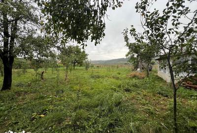 Teren de 1300 mp, în Central - 1
