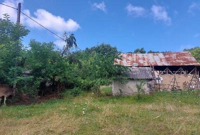 Teren de 1700 mp, în Vlădești
