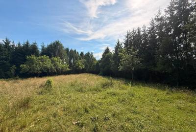 Teren agricol intravilan de 2877 mp, în Sighetu Marmației - 2