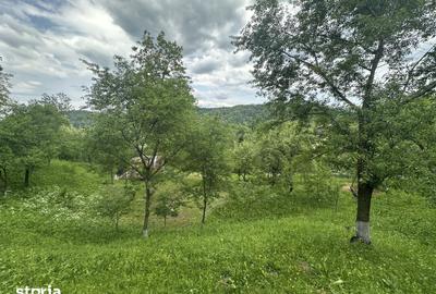 Teren de 2400 mp, în Telega - 3