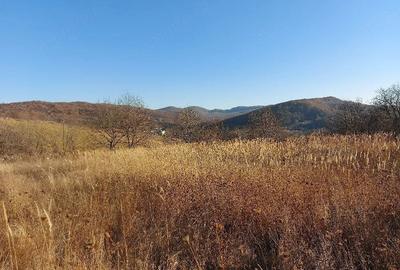 Teren de 2900 mp, în Buhoci - 1