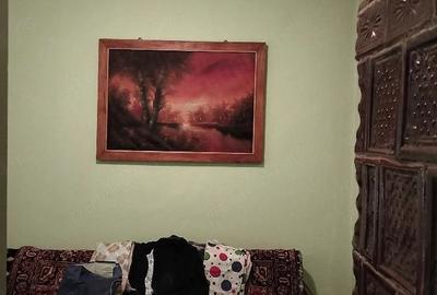 Casă cu 4 camere cu Teren 1507 Mp în Dudeștii Vechi