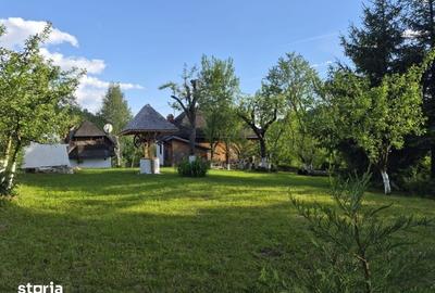 Casă cu 3 camere cu Teren 2250 Mp în Cerașu - 20
