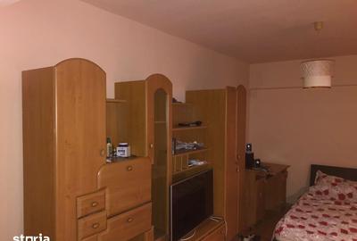 Garsonieră în Lăpuș Argeș - 5