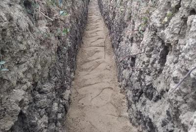 Teren de 6500 mp, în Petrești
