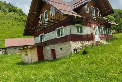 Casă cu Teren 5400 Mp în Măgura - 2