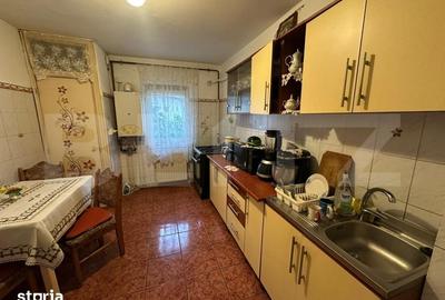 Apartament cu 3 camere decomandat în Craiovița Nouă - 4