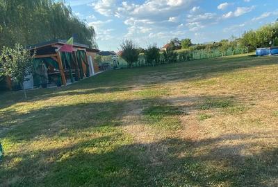 Teren de 1000 mp, în Lăpuș