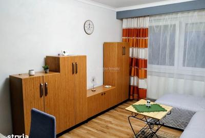 Apartament cu 2 camere în Șega - 7