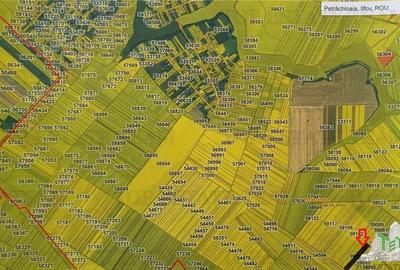 Teren agricol extravilan de 81906 mp, în Petrăchioaia - 2