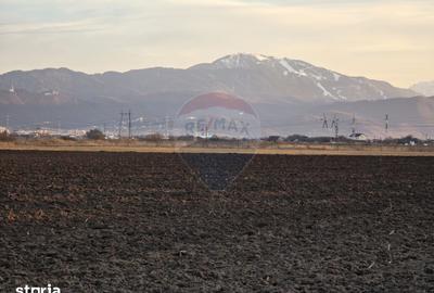 Teren de 30000 mp, în Hălchiu
