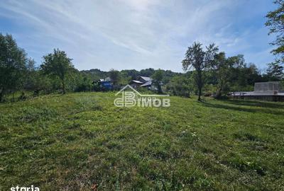 Teren de 10215 mp, în Vulcana-Băi - 5