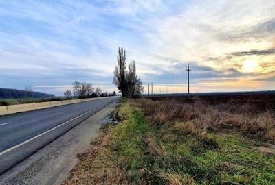 Teren Construcții intravilan de 4906 mp, în Ciolpani - 2