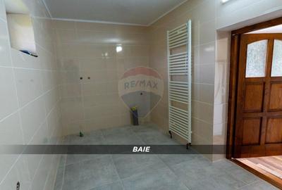 Casă individuală cu 2 camere cu Teren 900 Mp în Mireșu Mare - 10