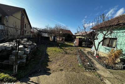 Teren de 2094 mp, în Ostroveni - 5