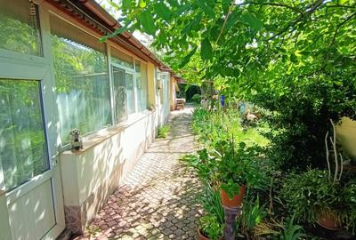 Casă cu 4 camere în Andronache - 1