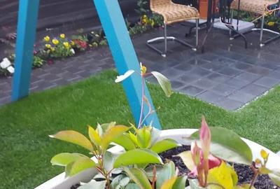 Apartament cu 3 camere decomandat în Central - 2