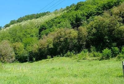 Teren de 3848 mp, în Cărmăzănești - 2