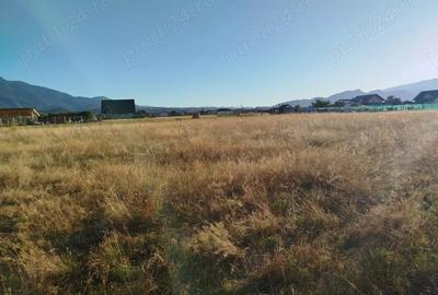 Teren de 1000 mp, în Glăjărie