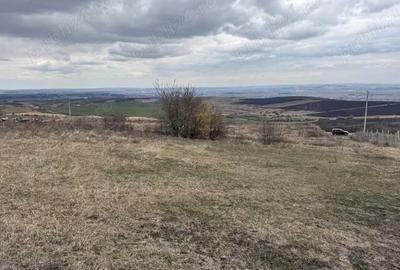 Teren de 2200 mp, în Săndulești - 3