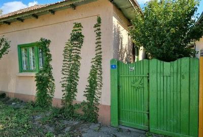 Casă cu 2 camere cu Teren 466 Mp în Cerna - 10