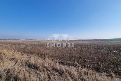 Teren Construcții extravilan de 11000 mp, în Ariceștii Rahtivani - 2