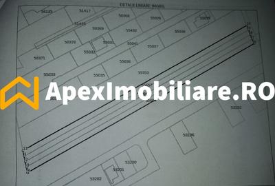 Teren Construcții intravilan de 4832 mp, în Cățelu - 5