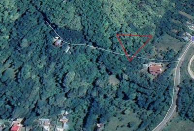 Teren de 2500 mp, în Văleni - 1