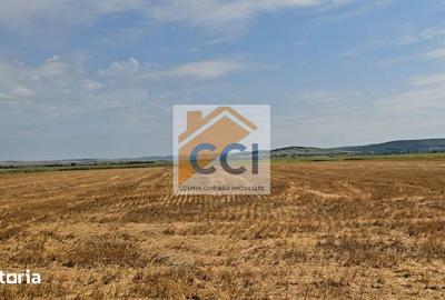 Teren de 50000 mp, în Letea Veche