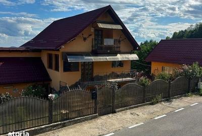 Casă cu 6 camere cu Teren 6300 Mp în Provița de Jos