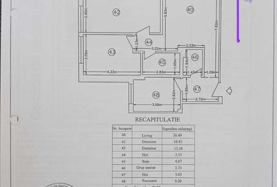 Apartament cu 3 camere decomandat în Runcu - 11