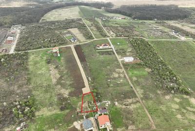 Teren Construcții intravilan de 700 mp, în Paleu - 2