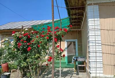 Casă cu 6 camere cu Teren 1094 Mp în Huși - 4